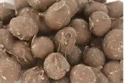 Double Dipped Gourmet Chocolate Covered Peanuts - BULK CANDY- 1/2 POUND