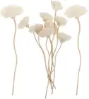 10Pcs Rattan Reed Diffuser Sticks - Essential Oil Diffuser - Aroma Bottle Access