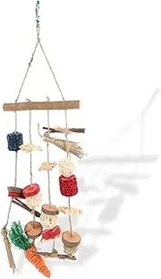 Happyyami Hamster Chew Delicate Hanging Accessories for Teeth Grinding Design for Pets for Hamsters Guinea Pigs and Squirrels Durable and Safe Material Random Color