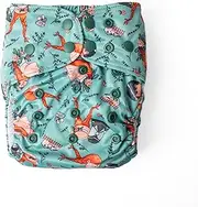 Monarch Reusable Pocket Cloth Nappy, Anne with an E