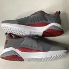 Anzarun 'Grey Red Dahlia' - Puma - 371131-12 Men's Size 11 Gray/Red