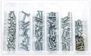 Bolt Carburetor Float Bowl Screws SV-CARBSCRW Assortment 210/pk