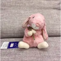 在飛比找蝦皮購物優惠-日本製STAR CHILD 粉紅色垂耳兔娃娃。抱花束款