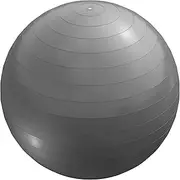 GORILLA SPORTS(R) Exercise Ball with Air Pump - 55 cm, Grey - Maximum Load 500 kg, Anti-Burst, Non-Slip, Yoga Ball, Balance Ball, Fitness Ball, Training Ball