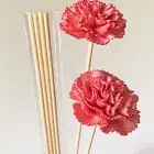 6Pcs Carnation Flower No Fire Aromatherapy Diffuser Replacement Stick Home Decor
