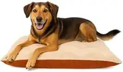 Furhaven Large Plush & Twill High-Loft Pillow Pet Bed, Spice