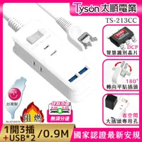 在飛比找PChome24h購物優惠-Tyson太順電業 213CC 2孔1切3座+雙USB充電延