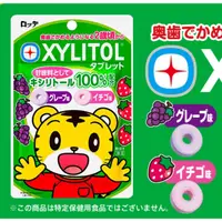 在飛比找蝦皮購物優惠-日本兒童XYLITOL木糖醇潔牙糖