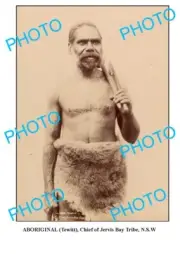 OLD ABORIGINAL 8x6 PHOTO CHIEF OF JERVIS TRIBE c1900