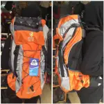 💞 【正品】DEUTER FUTURA 45L+10L旅行雙肩包野餐旅遊旅行包