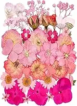 15 Types 37pcs Pink Dried Pressed Flowers for Resin Molds,Real Natural Pressed Flowers for DIY Art Crafts,Candle Making, Nails Décor,Soap Making, Phone Case