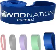 Single Pull Up Assistance Band (65-175lbs Blue Band) - Best for Pullup Assist...