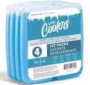 NEW 4 Pack Igloo MAXCOLD Small Ice Freeze Block, Blue, Free Shipping