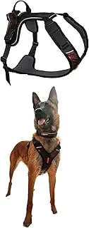 Non-stop dogwear Rock harness Adjustable Dog Harness for Small Dogs with 3 Leash Clips, Handle and Reflective, Black/Orange, Size S