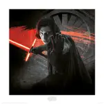 《星際大戰-最後的絕地武士》STAR WARS: THE LAST JEDI 凱羅忍 40X40複製畫