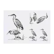4 x 'Heron Birds' Temporary Tattoos / Transfers (TO00007582)