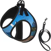 Austin Texas print Dog Harness and Leash Set, Reflective Adjustable Puppy Vest for Small Medium Large Dogs, Cats
