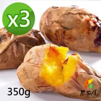 在飛比找momo購物網優惠-【瓜瓜園】冰烤番薯350gx3盒(台農57號地瓜)