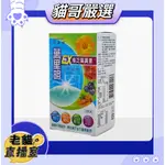 智靈捷【萬里明】樟芝葉黃素膠囊EX (30粒/盒)