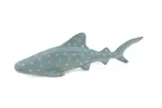 Whale Shark, Realistic, Figure, Replica, Toy, Kids, Gift, 7" CWG306 B382