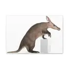 Funny Aardvark Silly Funny Aardvark Inside Wall Art Ready to Hang Unframed