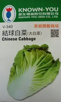 在飛比找Yahoo!奇摩拍賣優惠-結球白菜 【滿790免運費】大白菜 蔬菜種子 每包約80粒 