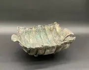 Serving Tray/Bowl - Handmade Pottery by small studio artist 11”
