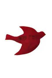 Dove Brooch--POLK-BR0019