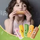 Musical Enlightenment Toy Diatonic Harmonica Harmonica Instrument Toys