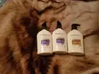 Yardley London 2 English Lavender And 1 Oatmeal Almond Body Lotions 8.4oz