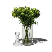 PUEBCO Recycled Glass 2-Way Flower Vase in Clear at Nordstrom One Size