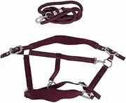 Baxnore Fluffy Padded Horse Collar with 2m Lead Rope, Non Rub Adjustable Halter, Breathable Lightweight for Gentle Control Training (Small)