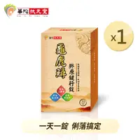 在飛比找PChome24h購物優惠-華陀扶元堂 龜鹿鱘膠原鍵行錠(30粒/盒)1盒組