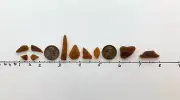 10 Surf Tumbled Beach Sea Glass frosted ocean pebble art craft Mr Potato Head JQ