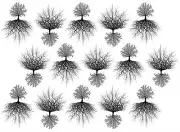 Tree of Life 15 pcs 1.75 Inch Black Fused Glass Decals