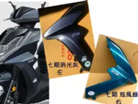 在飛比找露天拍賣優惠-三陽 原廠 車殼【七期 ABS FNX H殼-消光灰、炫風綠