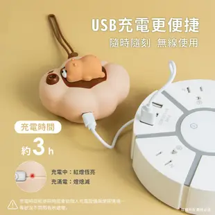 雲朵朵暖蛋 暖手寶 二檔調溫 USB充電式 現貨 廠商直送