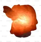 ELEPHANT 2-3 KG ELECTRIC HIMALAYAN SALT TABLE LAMP PURIFY ROCK NATURAL IONIZER