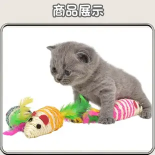 【劍麻老鼠】貓星人玩具 仿真老鼠 貓咪解悶玩具 貓抓老鼠 貓玩具 逗貓玩具 小老鼠 貓追老鼠 貓咪玩具 TE011