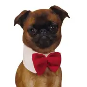 Canine Royale Dapper Male Dog Red Polyester Dog Bowtie By Aria Dog Products