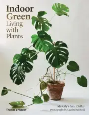 Indoor Green : Living With Plants, Paperback by Claffey, Bree; Bamford, Laure...