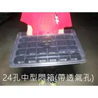 在飛比找蝦皮購物優惠-(柯比植物)三件組大悶箱  悶箱 育苗 育苗盒 育苗箱 透氣