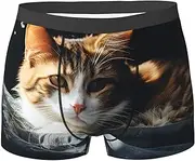 [QMNEHJ] Resting Cat Men's Boxer Briefs Breathable Stretch Underwear Moisture-Wicking Trunks for Men