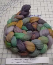 Targhee Wool Combed Top Roving Spinning Handpainted Dyed Felt USA NWT Garden Mis