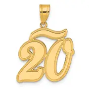14k Yellow Gold Brushed Border Script Number 20 Pendant