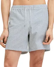 Allsaints Warden Seersucker Striped Regular Fit Swim Trunks