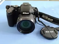 在飛比找Yahoo!奇摩拍賣優惠-Nikon Coolpix P510 類單眼數位相機, 42