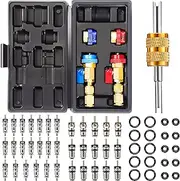 R134A R1234YF Valve Core Tool 35 Pcs Air Condition Valve Core Refrigeration Schrader Valve Core 3 Pcs Remover Tool with 20 Pcs O-Ring Rubber Seal for Car (A/C R12 R134a R1234YF)