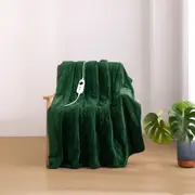 Dreamaker Coral Fleece Heated Throw Eden Green