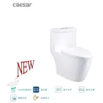 CF1363省水單體馬桶 瑞士水件 CAESAR 凱撒衛浴